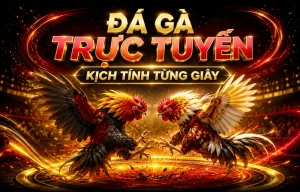Giao diện sảnh Đá Gà Daga